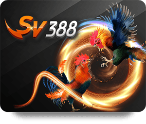 How RR88 Casino Đẳng Cấp Ensures Safe Gambling Experience